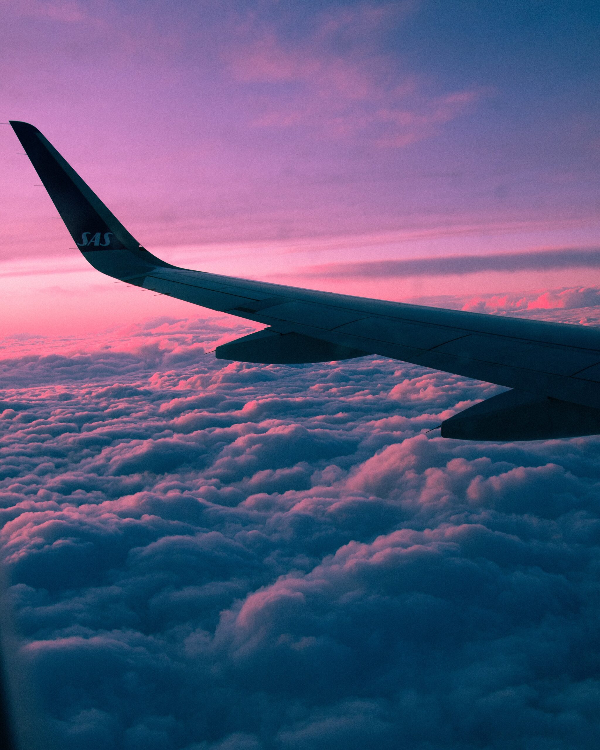 flight-ripartenza